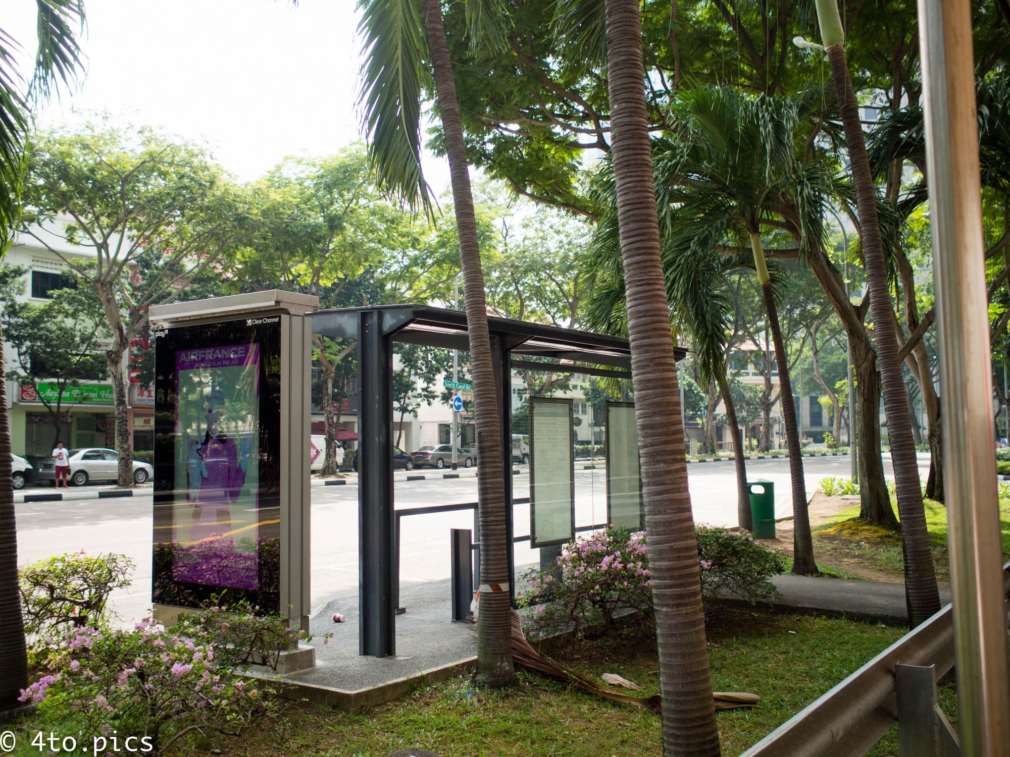 [シンガポール]ジャングル感あふれるバス停